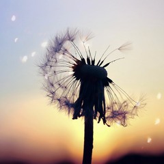 I'll show you - Justin Bieber (Cover)