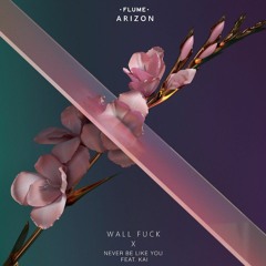 Flume - Wall Fuck  X Never Be Like You (Arizon Remix)