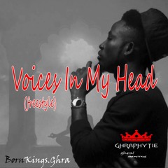 voices in my head(FREE STYLE)