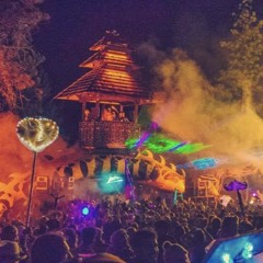 What the Festival 2016