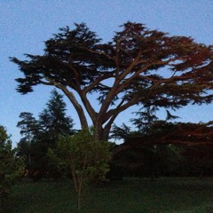 Meet me with your passport