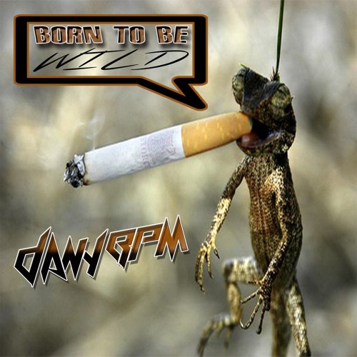 Dany BPM - Born To Be Wild