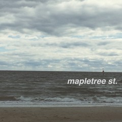 mapletree st.