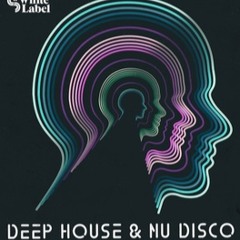 Deep/Nu Disco