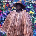 Flying&#x20;Ibex Away&#x20;From&#x20;My&#x20;Mind Artwork