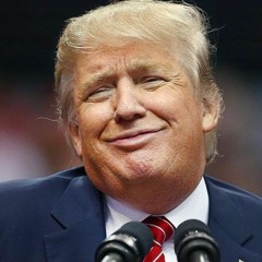 Hans Dieter Xylophon