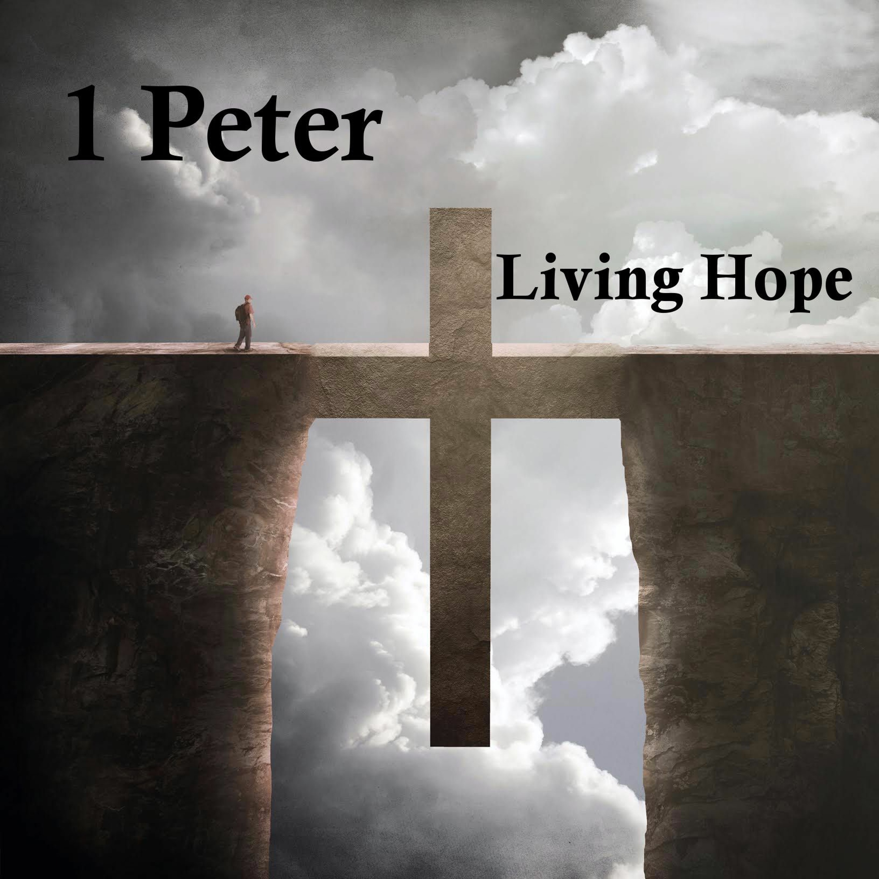 Stand Firm in the True Grace of God (1 Peter 6:6-14 - 7/24/16 - Dan Harty) episode artwork