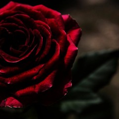 ComeSeeMe @DarmnKarma X @KortlandJeray