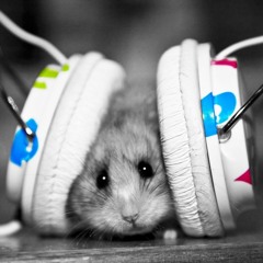 Favorite Dubstep