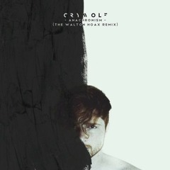 Crywolf - Anachronism (The Walton Hoax Remix)