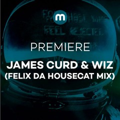 Premiere: James Curd & Wiz 'It's So Much Fun' (Felix Da Housecat Thee FFF MTL Mix)