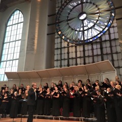 The Steady Light, SSAA div, Unterseher