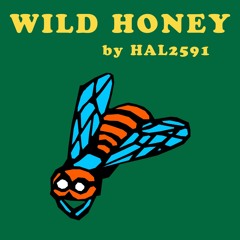 Wild Honey (Full Song Beach Boys cover)