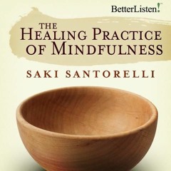 The Healing Practice Of Mindfulness with Saki Santorelli Preview 1