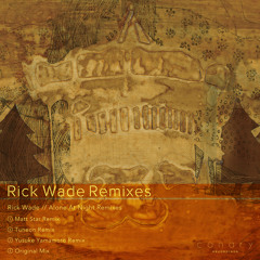 Rick Wade - Alone At Night (Tuneon Retune)