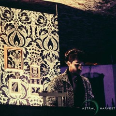 Adam Johan at The Manor Stage, Astral Harvest 2016