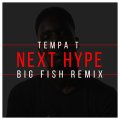Next Hype (Big Fish Remix)