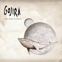 Gojira - Flying Whales Guitar Cover