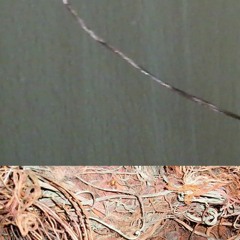 19. Deadcasted in Suriname River