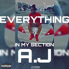 EVERYTHING IN MY SECTION-A.Y.O NATION