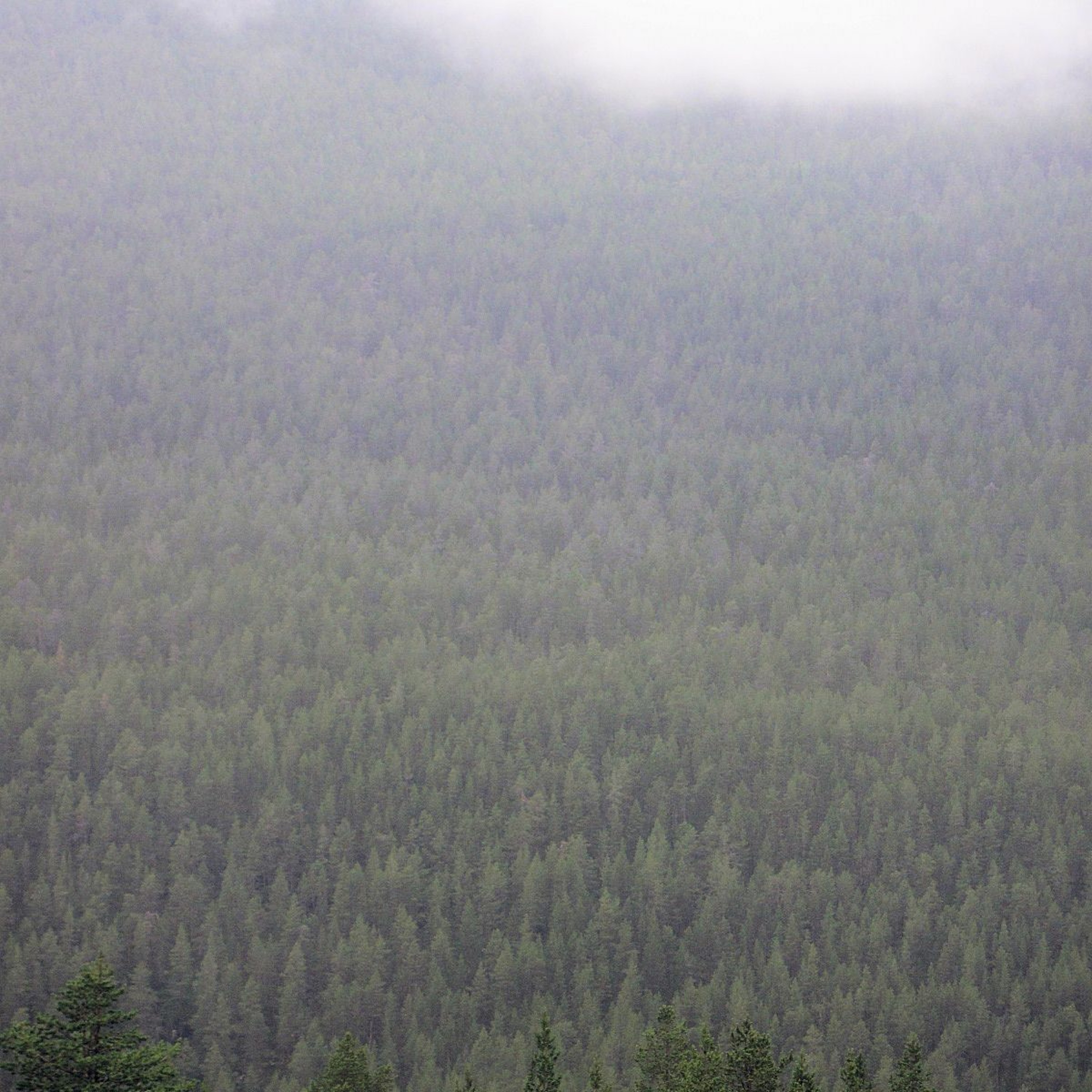 Kasper