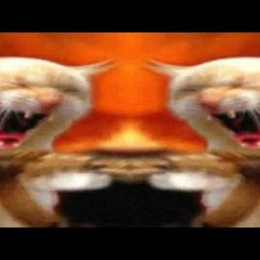 The Audacity - Feral Children