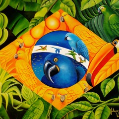música brasileira bonita  (Relaxante) BRAZIL
