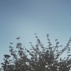 Arc 漂移