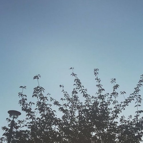 Arc 漂移