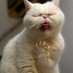 Cough [FREE DOWNLOAD]