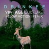 Sofi Tukker Drinkee Vintage Culture And Slow Motion Remix Mp3