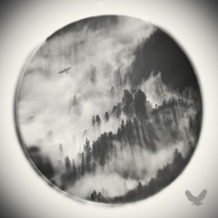 s. lyre - air