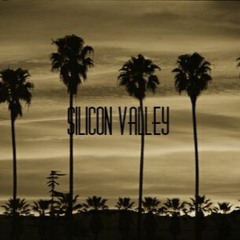 Silicon Valley (You Got)