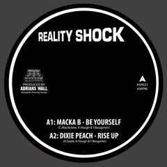 Works You Do 10" Promo Mix - Macka B, Dixie Peach, Reality Souljahs + Dub