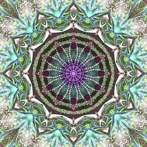 take that´s Miniset!!!