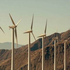 Somewhat Off Topic #6 #birdlivesmatter