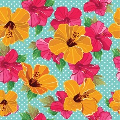 ไม่มีที่ไป_cover version