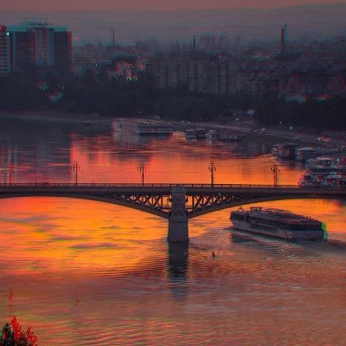 one for the dawn