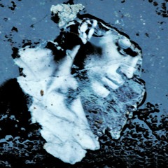 No Taste For Nothing