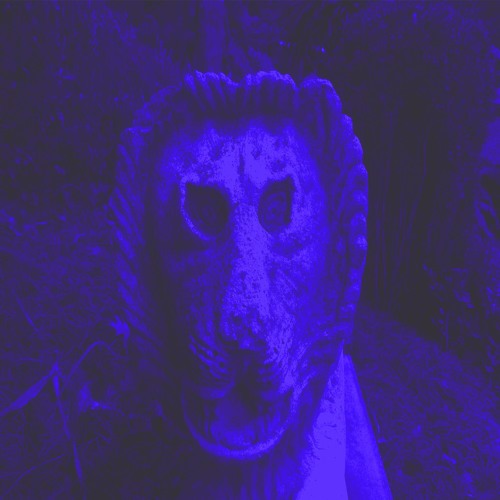 Ding Dong Dracula