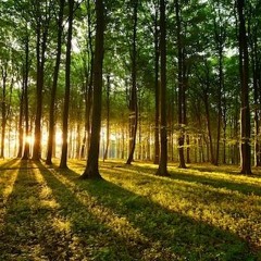 HeliXx - Was Los Digga Ahnma