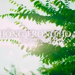 Hồng trong hoa -  Phúc Cường (JIPI)