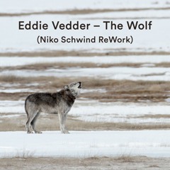 Eddie Vedder – The Wolf (Niko Schwind ReWork) [Free Download]