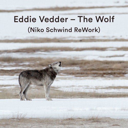 eddie vedder: the wolf