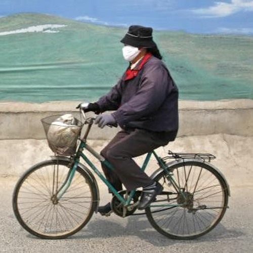 Speed biker 2003