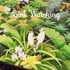 ”Bird Watching” - DJ 鳥人間