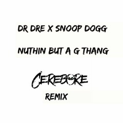 Dr Dre X Snoop Dogg - Nuthin But A G Thang (Cerebore Remix)