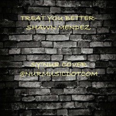 Treat You Better - Shawn Mendez| YOUTUBE.COM/SYNUR