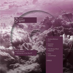 Various Artists - Anonymity in the Sky EP