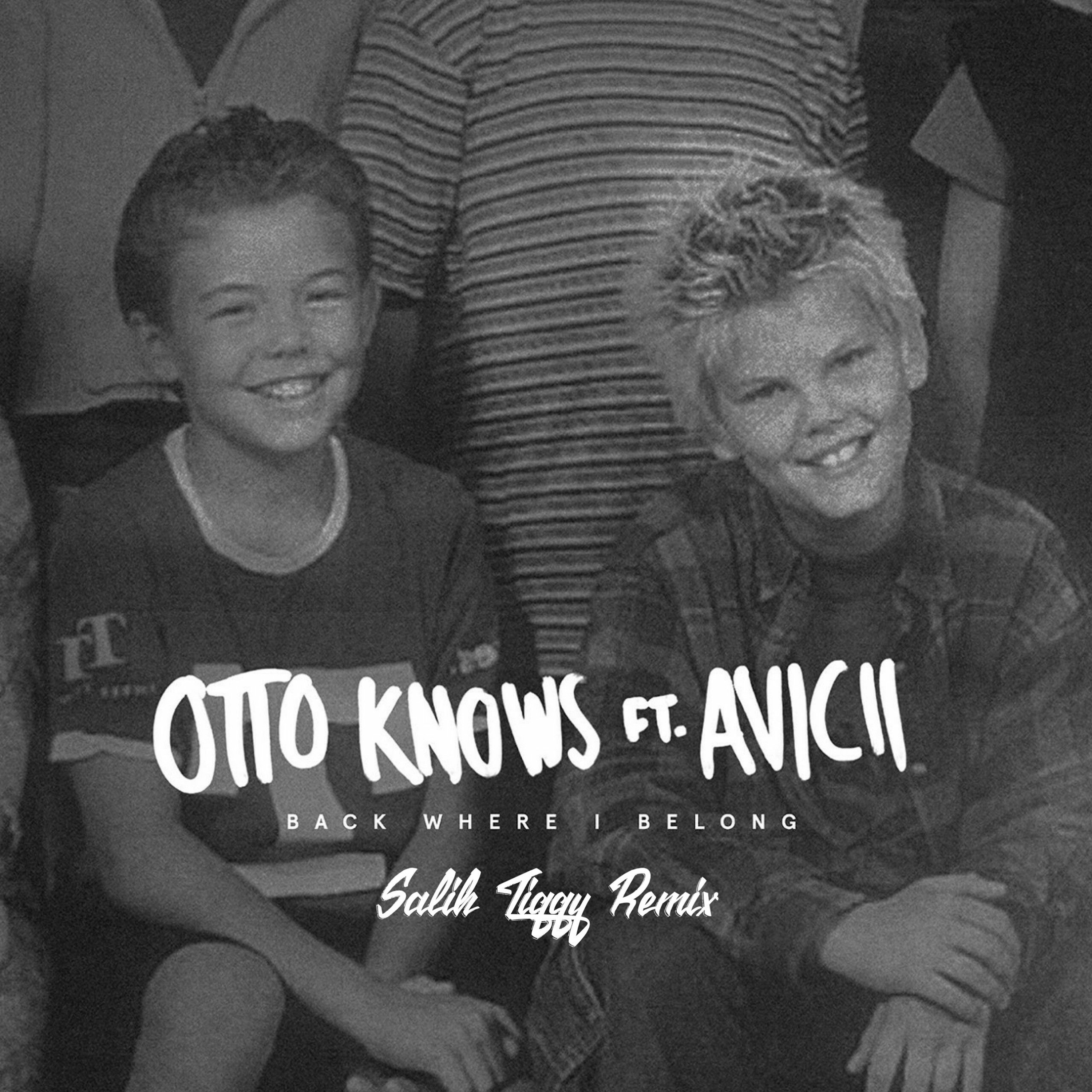 Otto Knows feat. Avicii - Back Where I Belong (Jahies Remix) episode artwork